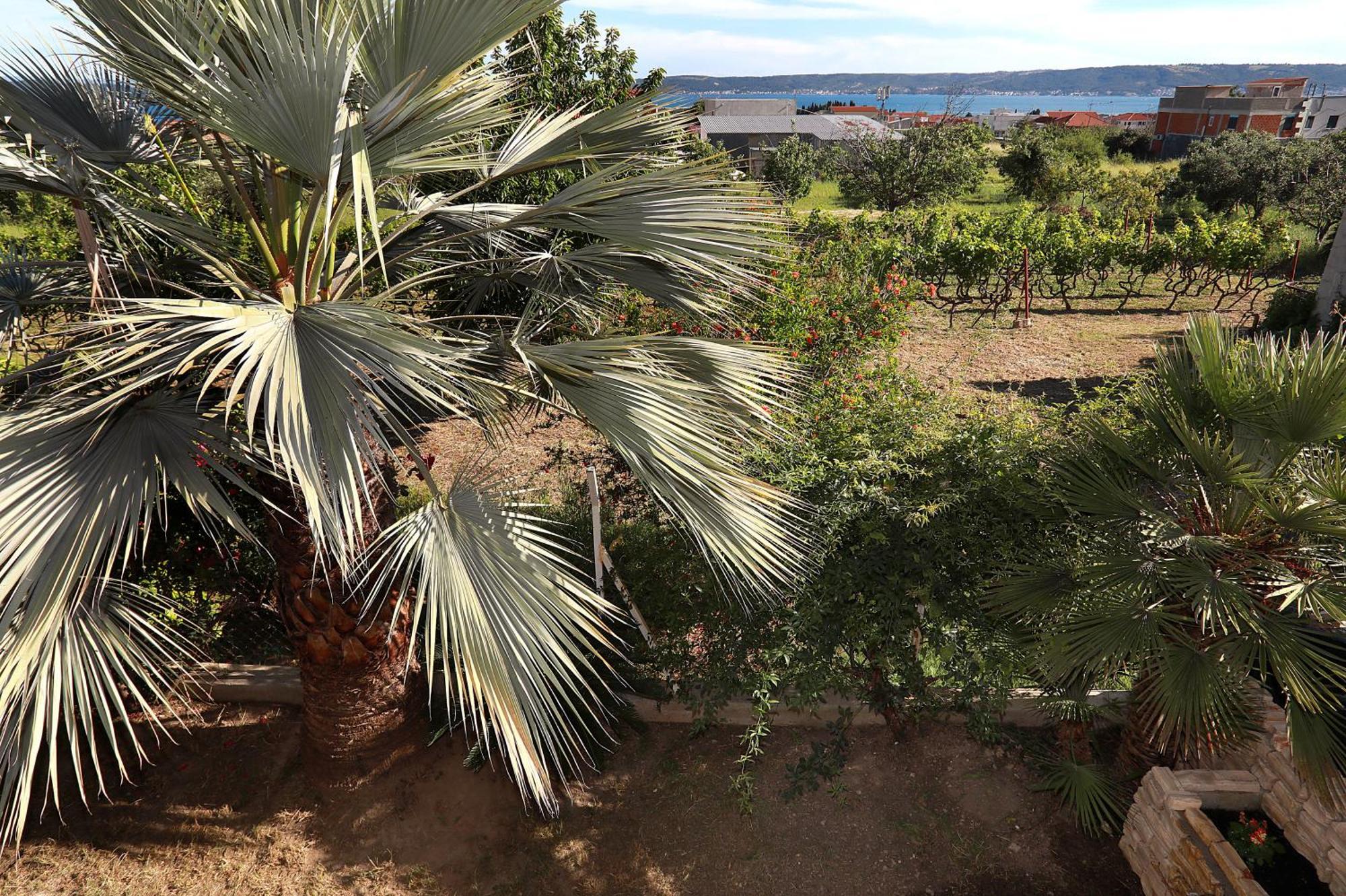 Appartamento Mediterrianen Paradise Kaštela Esterno foto